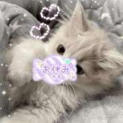 ヒメ日記 2025/11/16 20:14 投稿 もも ふわふわコレクション川越店