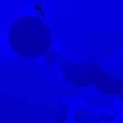 ヒメ日記 2025/03/12 10:21 投稿 みい モアグループ 土浦人妻花壇