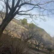 ヒメ日記 2025/03/16 09:51 投稿 みい モアグループ 土浦人妻花壇