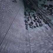 ヒメ日記 2025/03/30 09:36 投稿 みい モアグループ 土浦人妻花壇