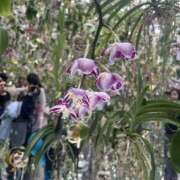 ヒメ日記 2025/04/02 05:48 投稿 みい モアグループ 土浦人妻花壇