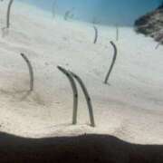 ヒメ日記 2025/05/24 18:57 投稿 みい モアグループ 土浦人妻花壇