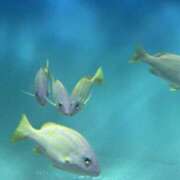 ヒメ日記 2025/05/24 19:03 投稿 みい モアグループ 土浦人妻花壇