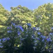 ヒメ日記 2025/06/06 18:03 投稿 みい モアグループ 土浦人妻花壇