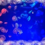 ヒメ日記 2025/03/10 12:21 投稿 かこ エディーズ