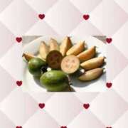 ヒメ日記 2025/12/04 13:26 投稿 かこ エディーズ