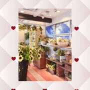 ヒメ日記 2025/12/31 19:16 投稿 かこ エディーズ