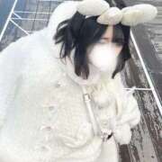 ヒメ日記 2025/04/10 02:44 投稿 すい めちゃカワ女子 小田原早川店