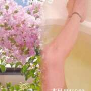 ヒメ日記 2026/07/23 10:56 投稿 石川さき おいしい奥様