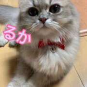 ヒメ日記 2025/03/09 08:29 投稿 るか 白いぽっちゃりさん五反田店