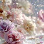 ヒメ日記 2025/12/04 09:16 投稿 稲葉陽子 おいしい奥様