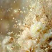 ヒメ日記 2025/12/17 09:06 投稿 稲葉陽子 おいしい奥様