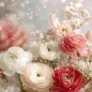 ヒメ日記 2025/12/19 13:36 投稿 稲葉陽子 おいしい奥様