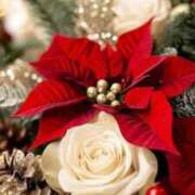 ヒメ日記 2025/12/23 08:06 投稿 稲葉陽子 おいしい奥様