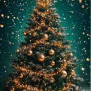 ヒメ日記 2025/12/24 22:46 投稿 稲葉陽子 おいしい奥様