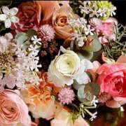 ヒメ日記 2025/12/26 14:56 投稿 稲葉陽子 おいしい奥様