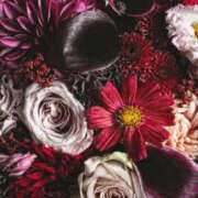 稲葉陽子 一年の感謝をこめて おいしい奥様