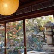 ヒメ日記 2026/01/11 20:06 投稿 稲葉陽子 おいしい奥様