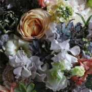 ヒメ日記 2026/01/13 08:46 投稿 稲葉陽子 おいしい奥様