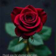 ヒメ日記 2026/01/16 22:06 投稿 稲葉陽子 おいしい奥様