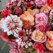 ヒメ日記 2026/01/19 09:46 投稿 稲葉陽子 おいしい奥様