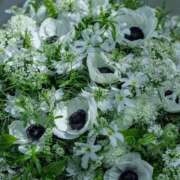 ヒメ日記 2026/01/27 07:56 投稿 稲葉陽子 おいしい奥様