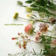 ヒメ日記 2026/01/30 16:36 投稿 稲葉陽子 おいしい奥様