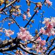 ヒメ日記 2026/02/09 13:06 投稿 稲葉陽子 おいしい奥様