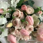 ヒメ日記 2026/02/12 14:06 投稿 稲葉陽子 おいしい奥様