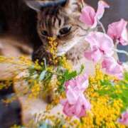 ヒメ日記 2026/02/16 12:16 投稿 稲葉陽子 おいしい奥様