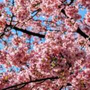 稲葉陽子 おはようございます おいしい奥様