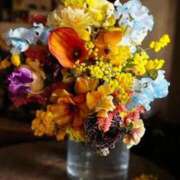 稲葉陽子 こんにちは おいしい奥様