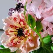 稲葉陽子 おはようございます おいしい奥様