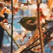 ヒメ日記 2026/02/28 13:36 投稿 稲葉陽子 おいしい奥様
