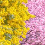 ヒメ日記 2026/03/05 08:36 投稿 稲葉陽子 おいしい奥様