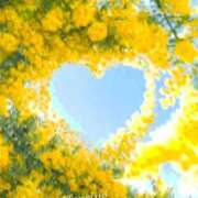 ヒメ日記 2026/03/08 20:16 投稿 稲葉陽子 おいしい奥様