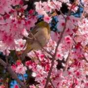 ヒメ日記 2026/03/17 07:56 投稿 稲葉陽子 おいしい奥様