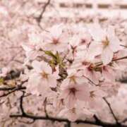 ヒメ日記 2026/03/28 13:16 投稿 稲葉陽子 おいしい奥様