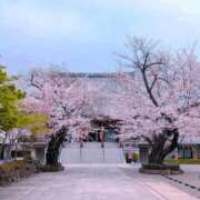 ヒメ日記 2026/03/30 08:36 投稿 稲葉陽子 おいしい奥様