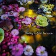 稲葉陽子 感謝を込めて おいしい奥様