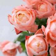 稲葉陽子 こんにちは おいしい奥様