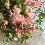 ヒメ日記 2026/04/27 10:56 投稿 稲葉陽子 おいしい奥様