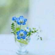 ヒメ日記 2026/05/07 12:56 投稿 稲葉陽子 おいしい奥様