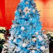 ヒメ日記 2025/12/23 06:46 投稿 大原こずえ おいしい奥様