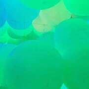 ヒメ日記 2026/01/25 06:56 投稿 大原こずえ おいしい奥様