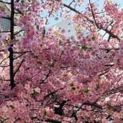 ヒメ日記 2026/03/24 07:06 投稿 大原こずえ おいしい奥様