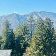 ヒメ日記 2026/03/25 07:16 投稿 大原こずえ おいしい奥様