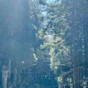 ヒメ日記 2026/03/28 07:16 投稿 大原こずえ おいしい奥様