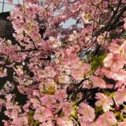 ヒメ日記 2026/03/30 07:16 投稿 大原こずえ おいしい奥様