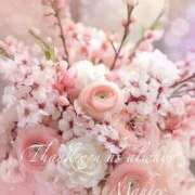 岡田まひろ さくら🌸 おいしい奥様